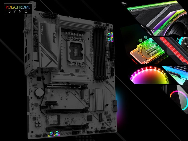 POLYCHROME RGB
